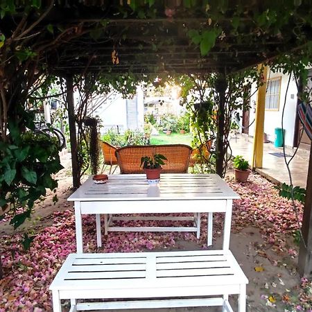 Pousada Solar Encanto Do Marajo 소우레 외부 사진