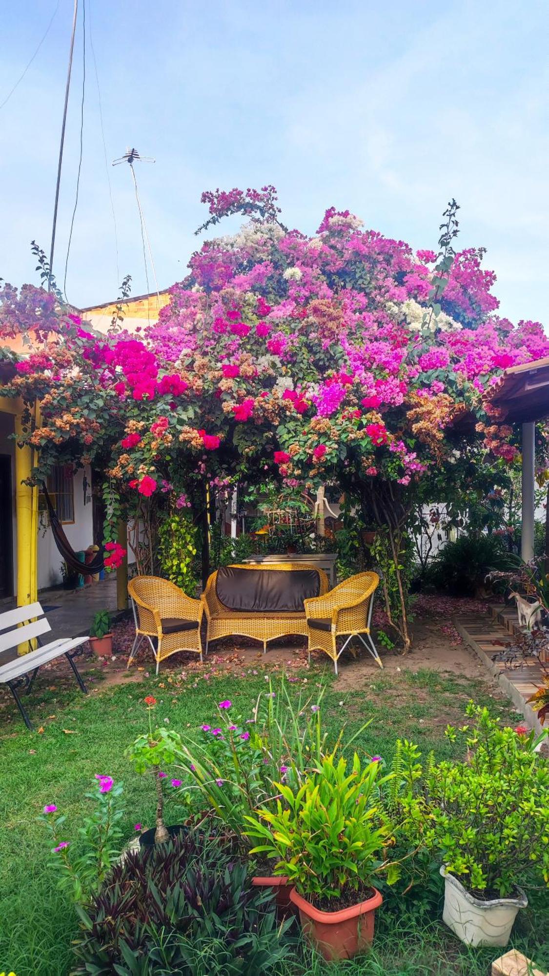 Pousada Solar Encanto Do Marajo 소우레 외부 사진