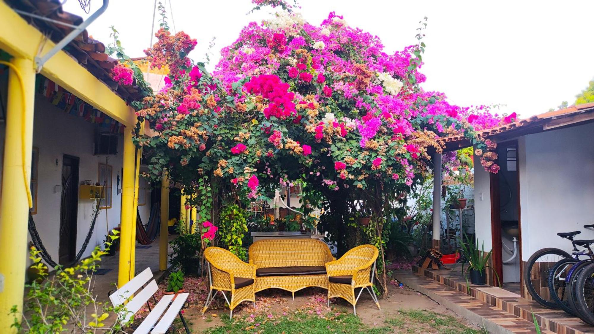 Pousada Solar Encanto Do Marajo 소우레 외부 사진
