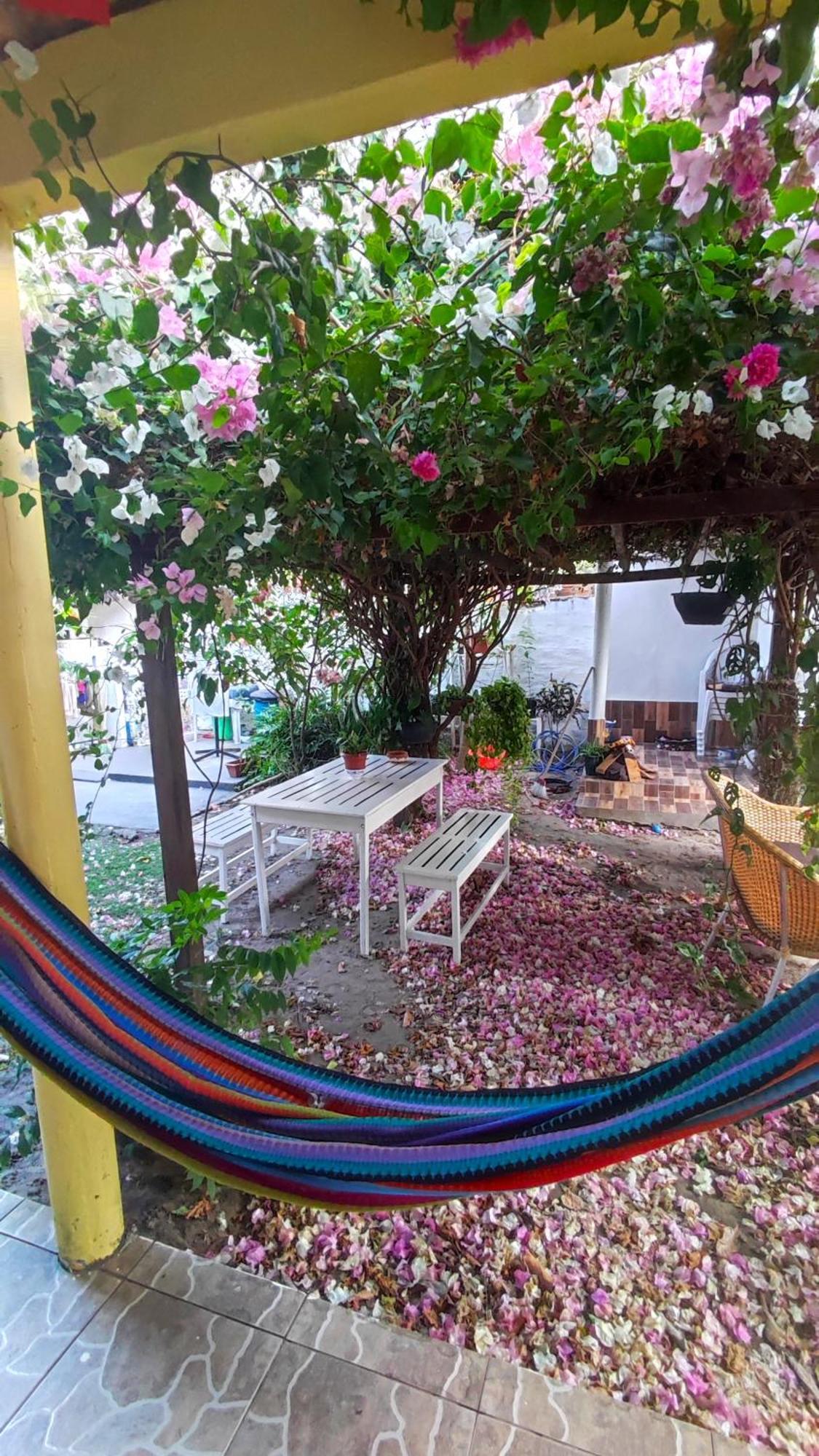 Pousada Solar Encanto Do Marajo 소우레 외부 사진